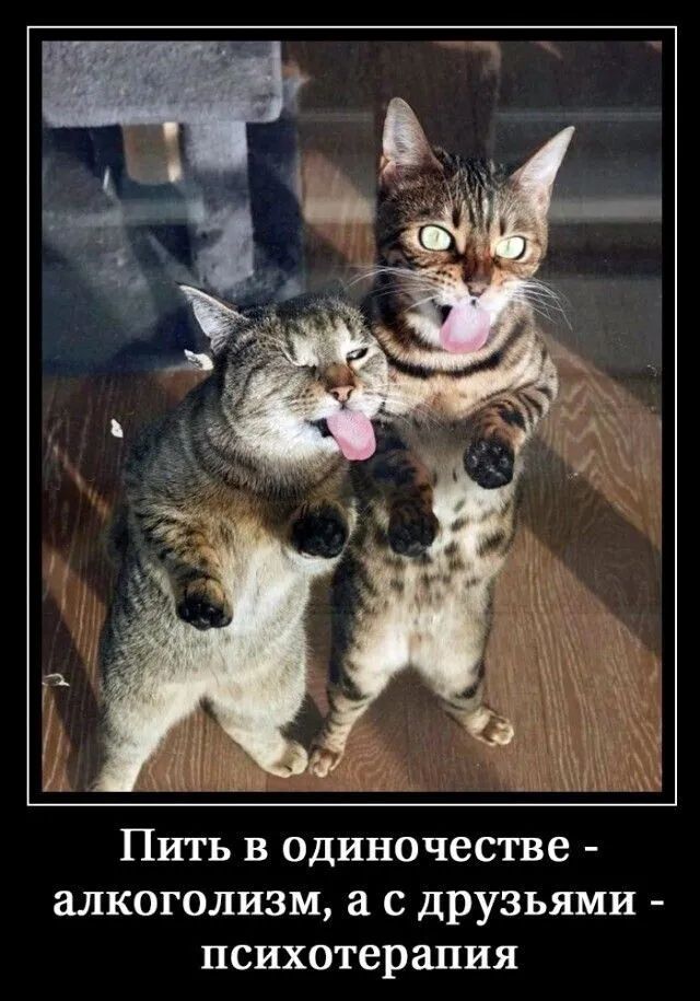Пить в одиночестве алкоголизм а с друзьями психотерапия
