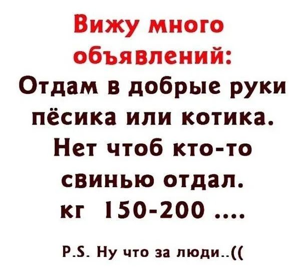 Вижу много объявлений Отдам в добрые руки пёсика или котика Нет чтоб кто то свинью отдал кг 50 200 РБ Ну что за пюди