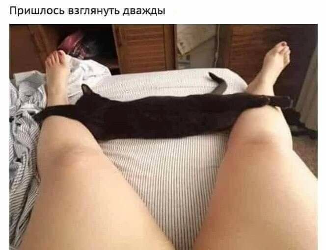Пришлось взглянуть дважды