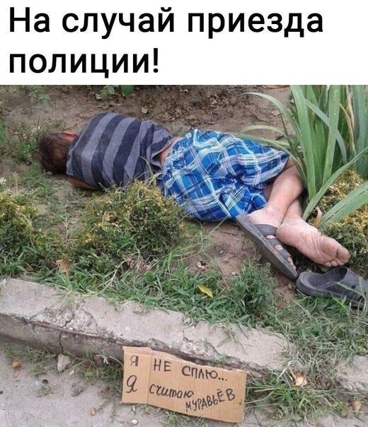 На случай приезда полиции
