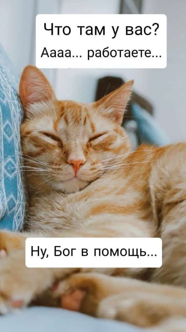 Что там у вас Аааа работаете