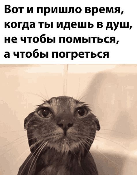 Вот и пришло время когда ты идешь в душ не чтобы помыться а чтобы погреться