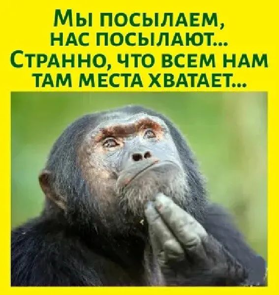 Мы посылдвм ндс посылдют СТРАН но что всвм НАМ тдм МЕСТА ХВАТАЕТ