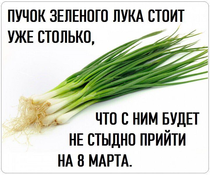 ПУЧОК ЗЕЛЕНОГО ЛУКА СТОИТ УЖЕ СТОЛЬКО им что с ним БУДЕТ НЕ стыдно прийти НА 8 МАРТА