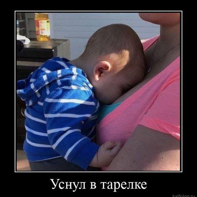 Уснул в тарелке