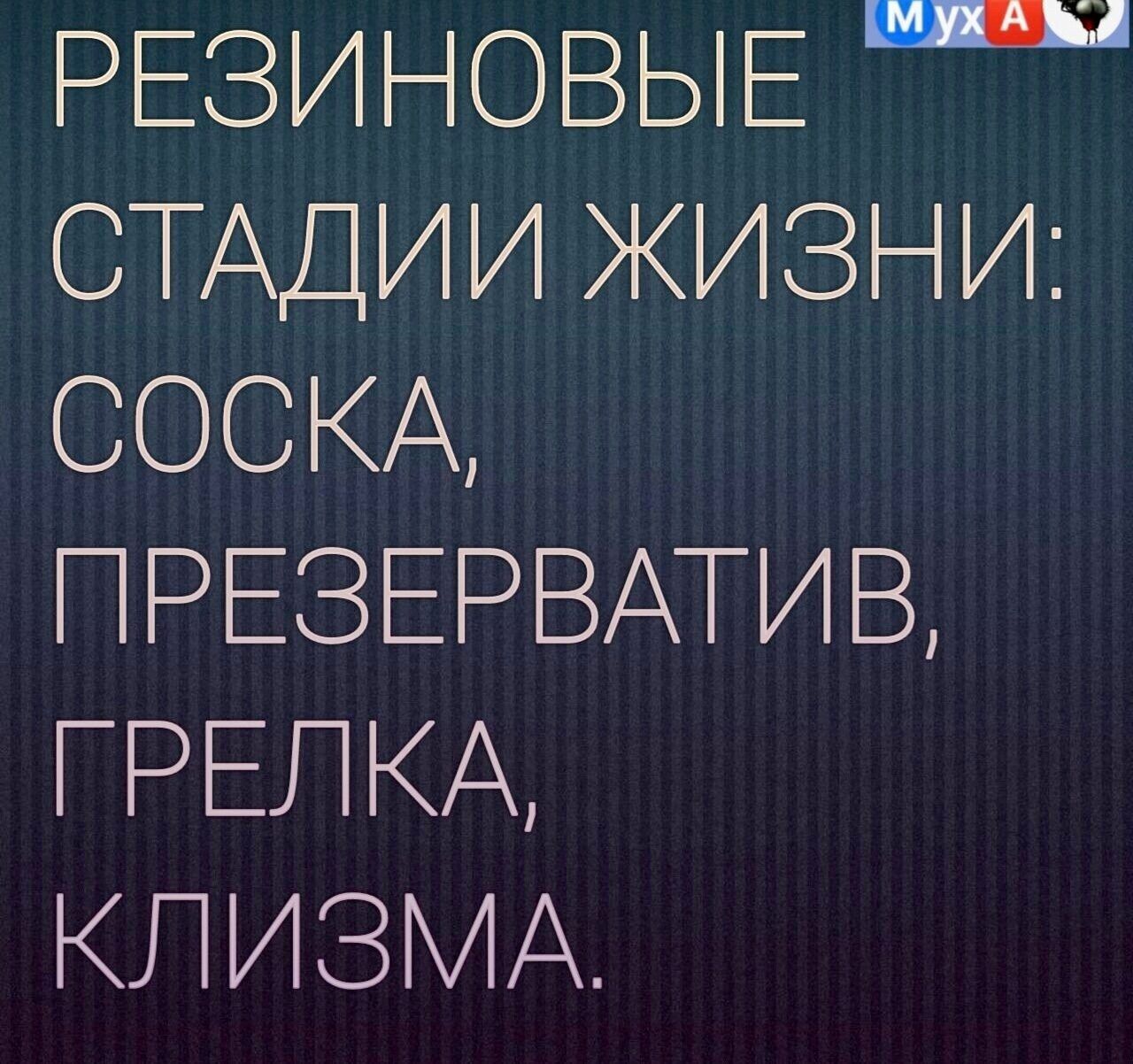 РЕЗИ ОВЬЕ СТАДіИ ЖИЗНИ СОСКА _РЕЗ ЕРВАТИВ РЕПКА ПИЗМА