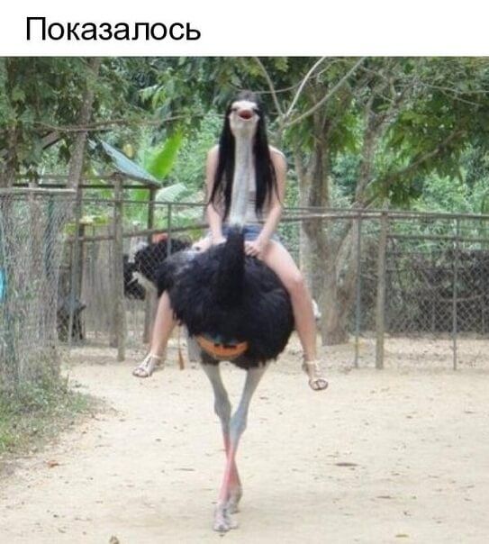 ь с О Л 8 з а К О П