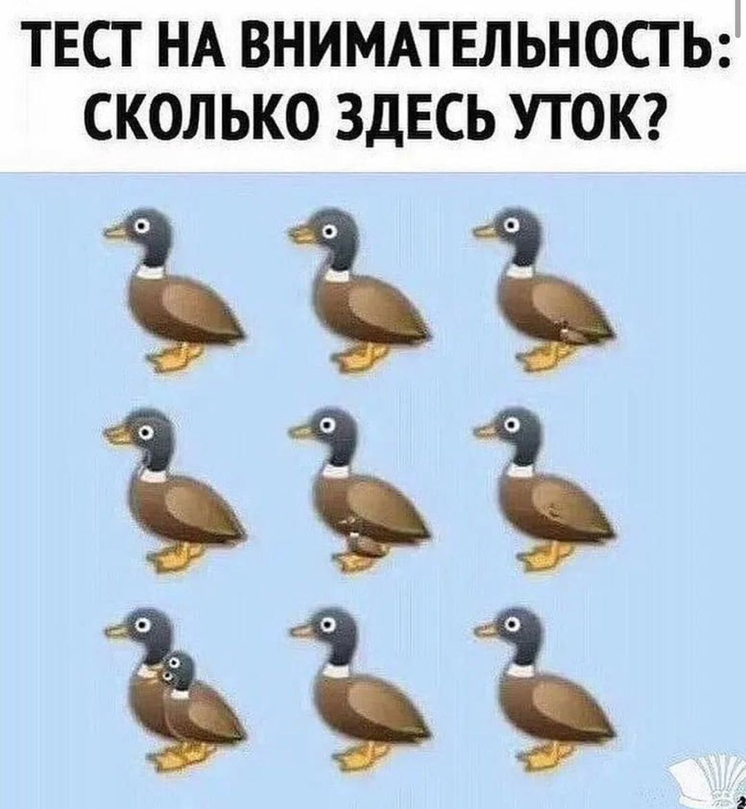 твст НА внимпвльностьё сколько ЗДЕСЬ УТОК 333 33