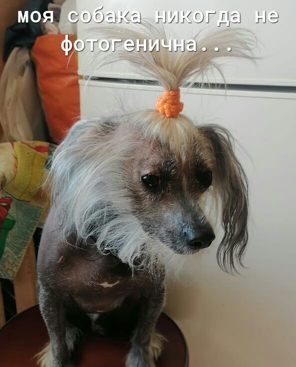 к дщ _ ды д НИКЭ фотыгэниыны __ итп м