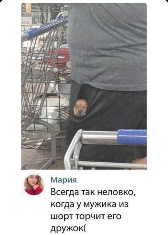 Мария Всегда так неловко когда у мужика из шорт торчит его дружок