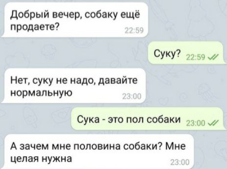 Добрый вечер собаку ещё продаете Суку 77 59 ж на суку не надо давайте нормальную Сука это под собаки 23 А зачем мне половина собаки Мне целая нужна