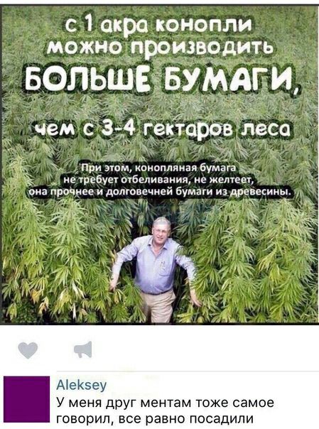с 1 икра конопли можно производить БОЛЬШЕ БУМАГИ _ Приэшмжпиоплпнаябумаш не ребуе очбвливания не Медузы она и за и дотовечией бумаги из древесммы АеКэеу У меня друг ментам тоже самое говорил все равно посадили