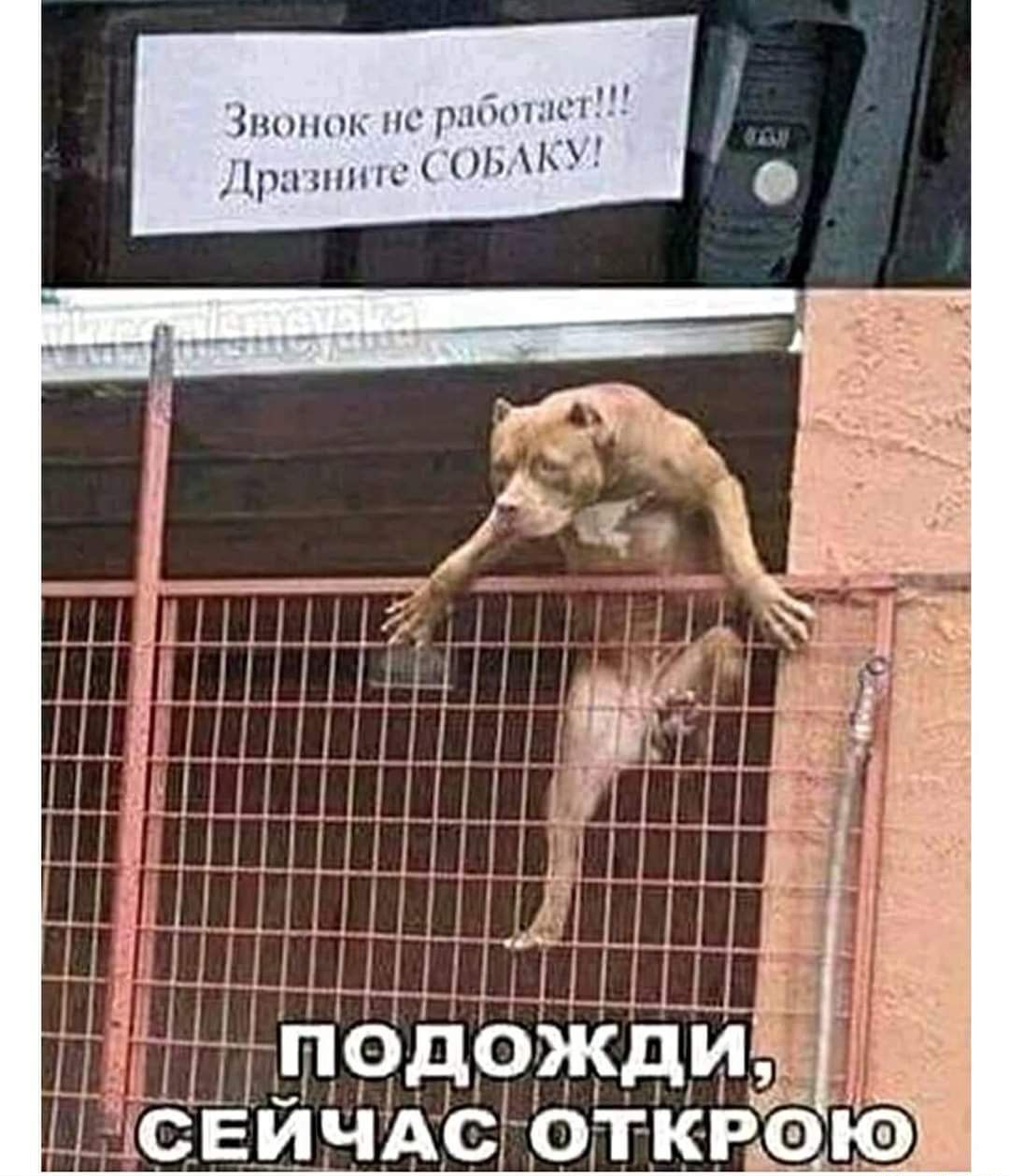 г