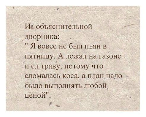 Ив объяснительной дворника Я вовсе не был пьян в пятницу А лежал на газоне и ел траву потому что сломалась коса план надо было выполнять любой Ценой