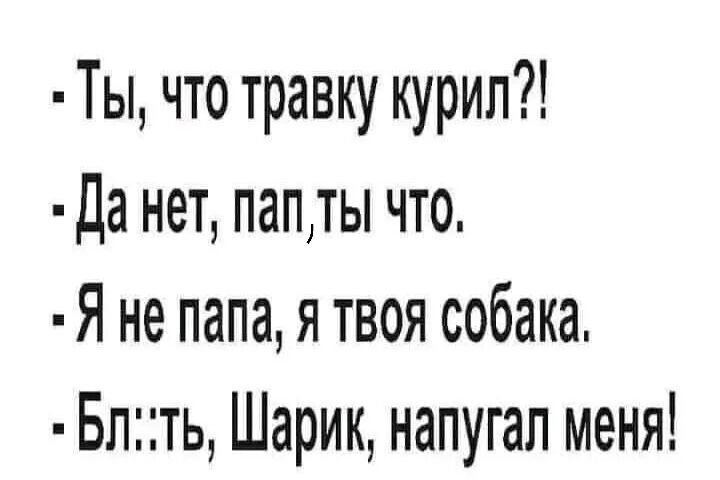 Ты что травку курил Да нет папты что Я не папа я твоя собака Блть Шарик напугал меня