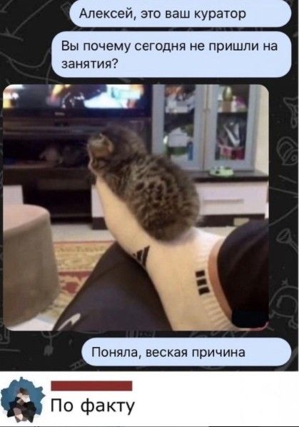 Алексей эго ваш куратор Вы почему сегодня не пришли на занятия гда _