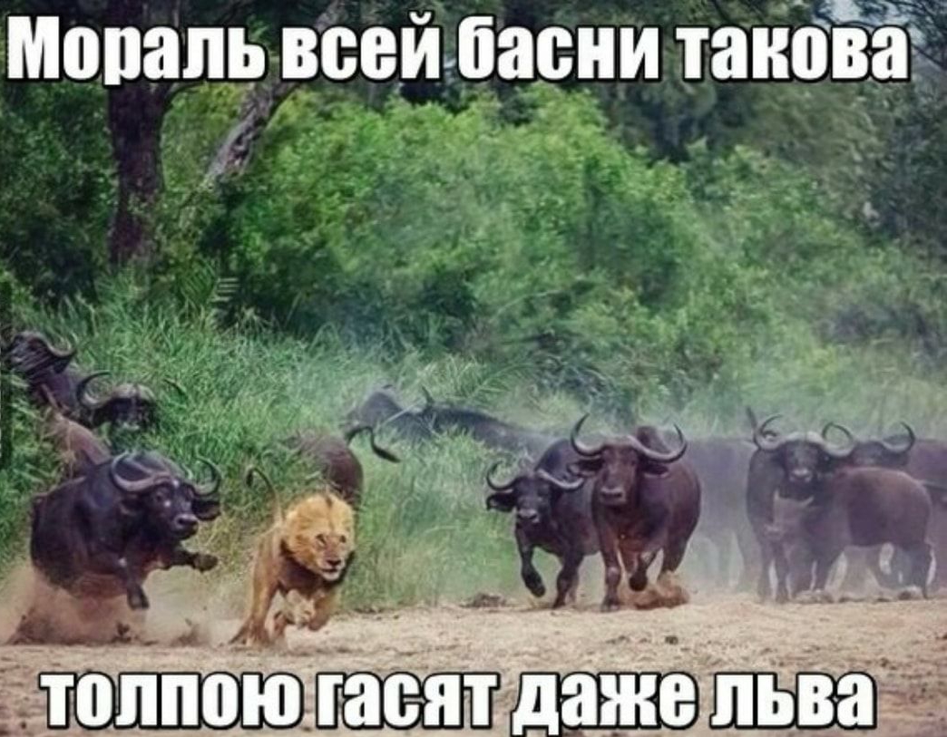 Я мопапь всей: баоии такова о й о