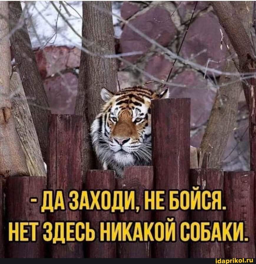 дА здхпди НЕ войЪя нвт здЕсь никдкой совдки Ё 17 Ё іааргікылц
