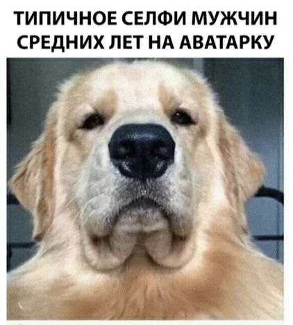 ТИПИЧНОЕ СЕЛФИ МУЖЧИН СРЕДНИХ ЛЕТ НА АВАТАРКУ