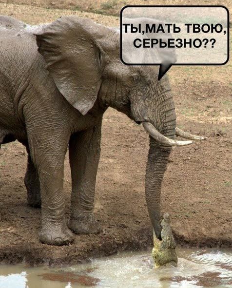 Ты,мать твою,' серьезно??