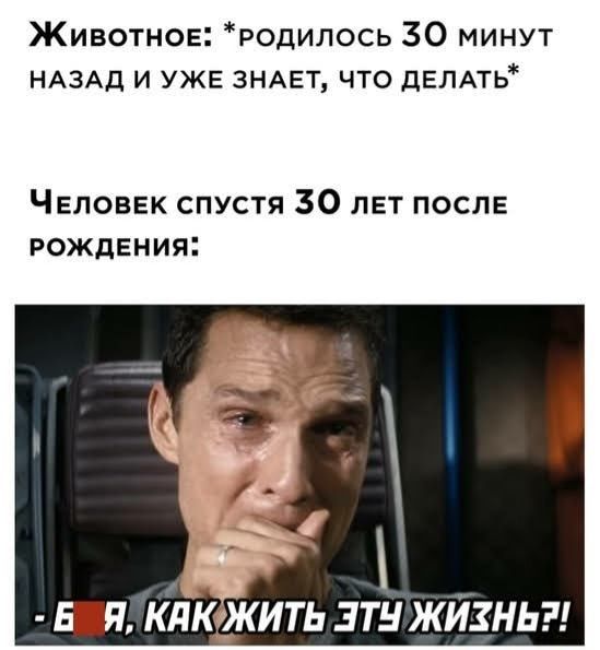 Животное родилось 30 минут НАЗАД и уже ЗНАЕТ что дЕЛАть Человек спустя 30 лет после рождения впн клюкить зтн жИзнь