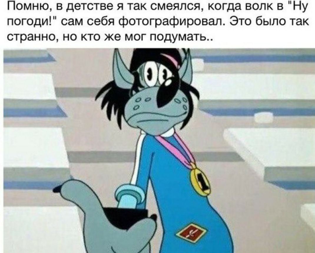 Помню в детстве я так смеялся когда волк 8 Ну погоди сам себя фотографировал Это было так странно но кто же мог подумать