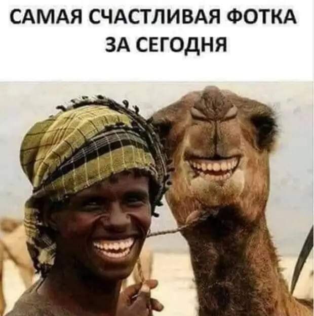 САМАЯ СЧАСТЛИВАЯ ФОТКА ЗА СЕГОДНЯ