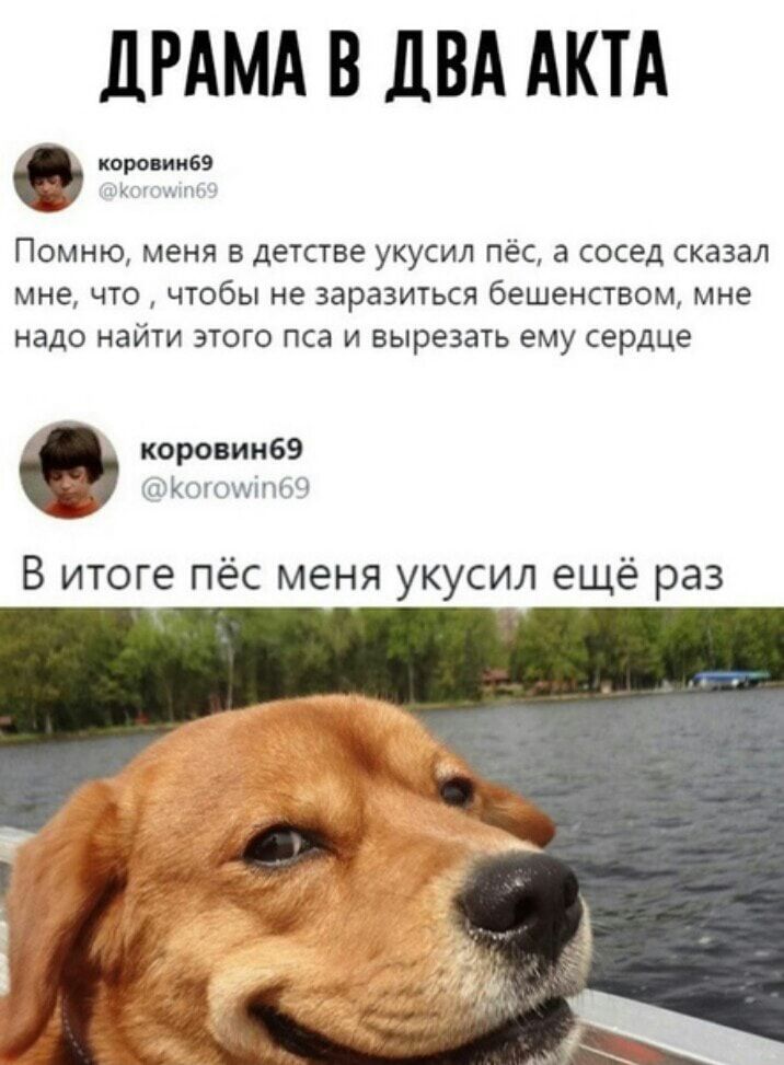 ДРАМА В дВА АКТА 0 тт ПОМНЮ меня В детстве УКУСИЛ пёс З сосед сказал мне ЧТО ЧТОбЫ не заразиться бешенством мне надо найти ЭТОГО ПСВ И вырезать ему сердце коровин69 пгКопцчіпмЧ В итоге пёс меня укусил ещё раз