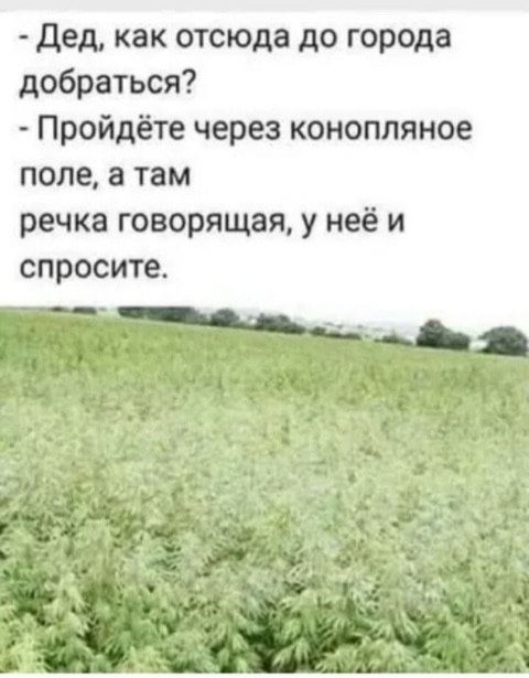 дед как отсюда до города добраться Пройдёте через конопляное ПОЛЕ а ТБМ речка говорящая у неё и спросите