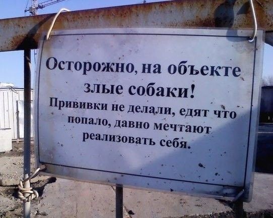 Осторожію на объекте злые собаки _ Прививки не делали едят что попало давно мечтают реализовать себя