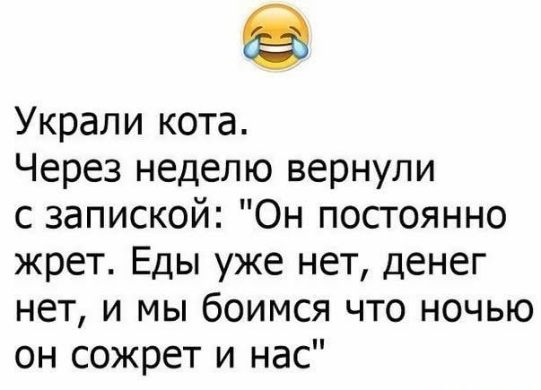 Украли кота Через неделю вернули с запиской Он постоянно жрет Еды уже нет денег нет и мы боимся что ночью он сожрет и нас