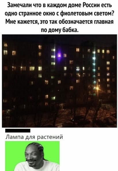 Замечали что в каждом доме России есть одно странное окно фиолетовым светом Мне кажетсято так обозначается главная по дому бабка _ Лампа для растений