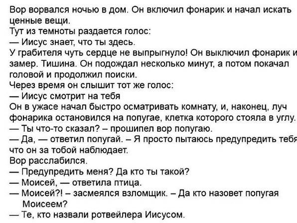 Бор ворвался ночью в дом Он включил фонарик и начал искать ценные вещи Тут из темноты раздается голос ИИСУС знает ЧТО ТЫ ЗДЕСЬ У грабителя чуть сердце не еыпрыгнупо Он выключил фонарик и замер Тишина Он подождал несколько минут а потом покачал головой и продолжил поиски Через время он слышит тот же голос Иисус смотрит на тебя Он в ужасе начал быстро осматривать комнату и наконец луч фонарика остан