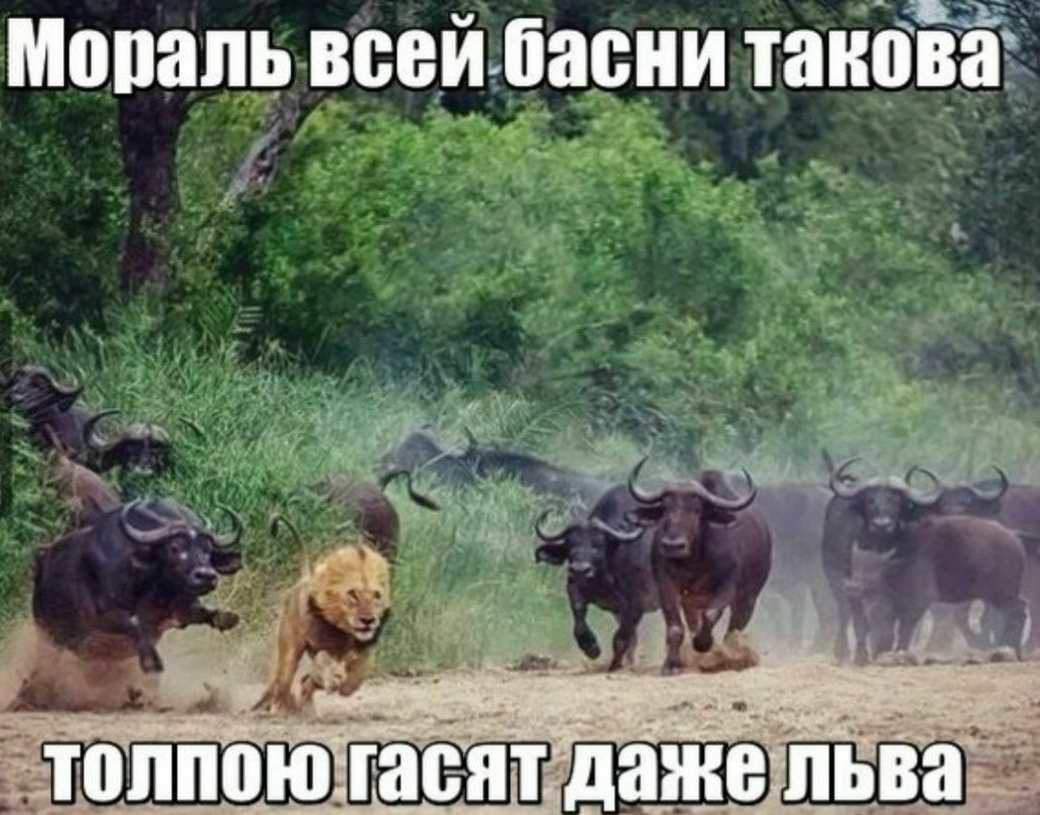 мопапьвсеиубасни такова ж _ _