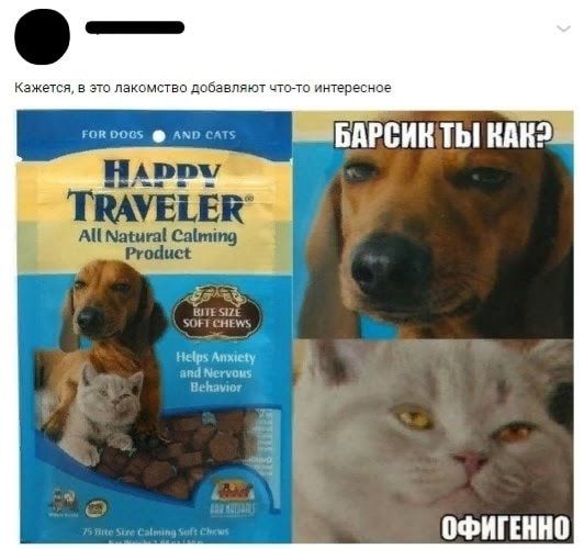 Биюзв БАРБИ ТЫ КПИ ПФИГШИП