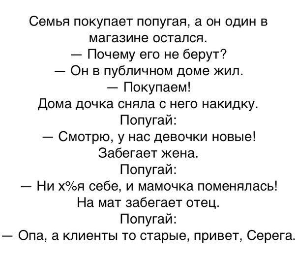СЭМЬЯ ПОКУПЗЭТ попугая а ОН ОДИН В магазине остался Почему его не берут Он в публичном доме жил Покупаем Дома дочка сняла с него накидку Попугай Смотрю у нас девочки новые Забегает жена Попугай Ни хя себе и мамочка поменялась На мат забегает отец Попугай Опа а клиенты то старые привет Серега