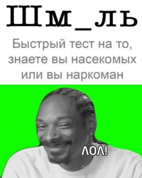 Шм_ль Быстрый тест на то знаете вы насекомых или вы наркоман