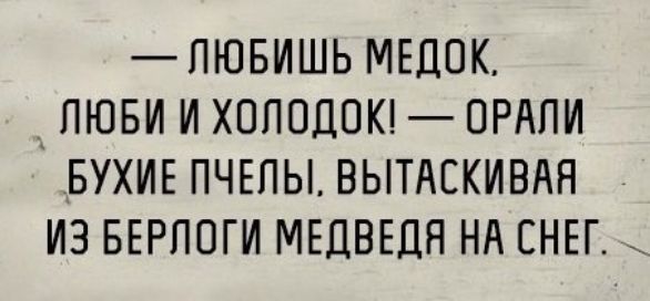 _ПЮБИШЬ МЕДОК ПЮБИ И ХОППДОК ОРАПИ БУХИЕ ПЧЕПЫ ВЫТАСКИВАН ИЗ БЕРПОГИ МЕДВЕДЯ НА СНЕГ __