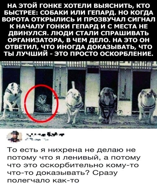НА ЭТОЙ ГОНКЕ ХОТЕЛИ ВЫЯСНИТЬ КТО БЫСТРЕЕ СОБАКИ ИЛИ ГЕПАРД НО КОГДА ВОРОТА ОТКРЫЛИСЬ И ПРОЗВУЧАЛ СИГНАЛ К НАЧАЛУ ГОНКИ ГЕПАРД И С МЕСГА НЕ ДВИНУЛСЯ ЛЮДИ СГШИ СПРАШИВАТЬ ОРГАНИЗАТОРА В ЧЕМ ДЕЛО НА ЭТО ОН ОТВЕТИЛ ЧТО ИНОГДА ПОКАЗЫВАТЬ ЧТО ТЫ ПУЧШИИ ЭТО ПРОСТО ОСКОРБПЕНИЕ __ Ш_Ё Фт То есть нихрена не делаю не потому что ленивый а потому что это оскорбительно кому то чтото доказывать Сразу полегчапо 