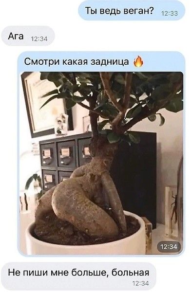 Ты ведь веган 1233 Ага 12 за Смотри какая задница Не пиши мне больше больная