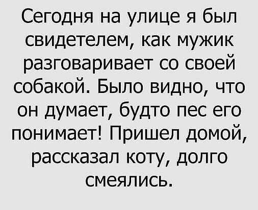 Сегодня на улице я был свидетелем как мужик разговаривает со своей собакой Было видно что он думает будто пес его понимает Пришел домой рассказал коту долго смеялись