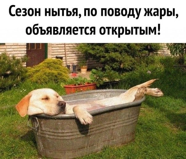 Сезон нытья по поводу жары объявляется открытым