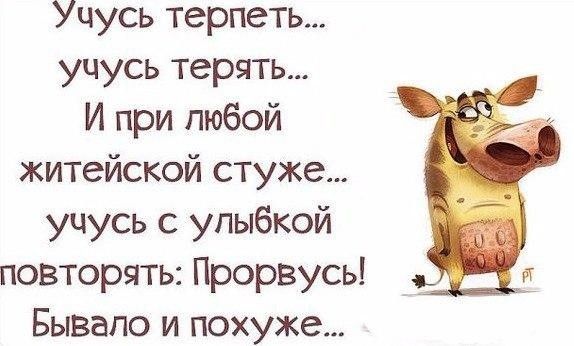 Учусь терпеть учусь терять И при любой житейской стуже учусь с улыбкой повторять Прорвусь Бывало и похуже