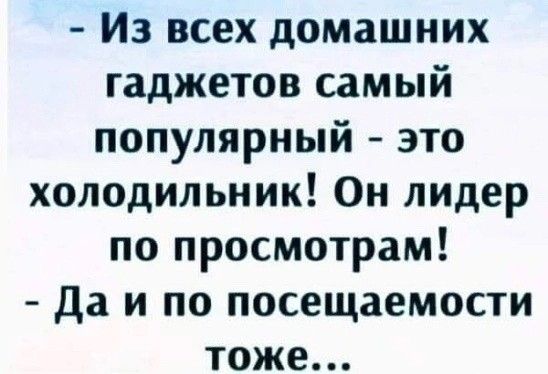 Из всех домашних гаджетов самый популярный это холодильник Он лидер по просмотрам да и по посещаемости тоже