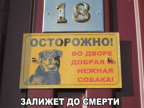 _ Ц здлижвт до смерти