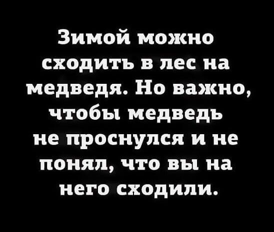 Зимой можно сходить в лес на медведя Но важно чтобы медведь не проснулся и не понял что вы на него сходили