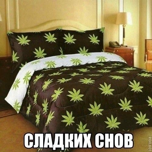 еппдник ШЮВ шта