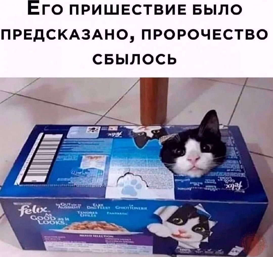 Его присутствие было предсказано, пророчество сбылось