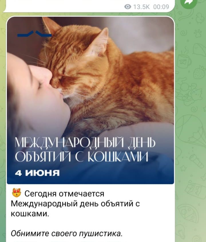 Сегодня отмечается Международный день объятий с кошками. 4 июня
Обнимите своего пушистика.