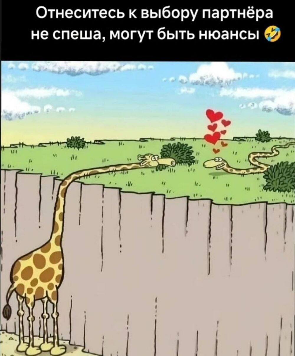 Отнеситесь к выбору партнёра не спеша, могут быть нюансы 😂